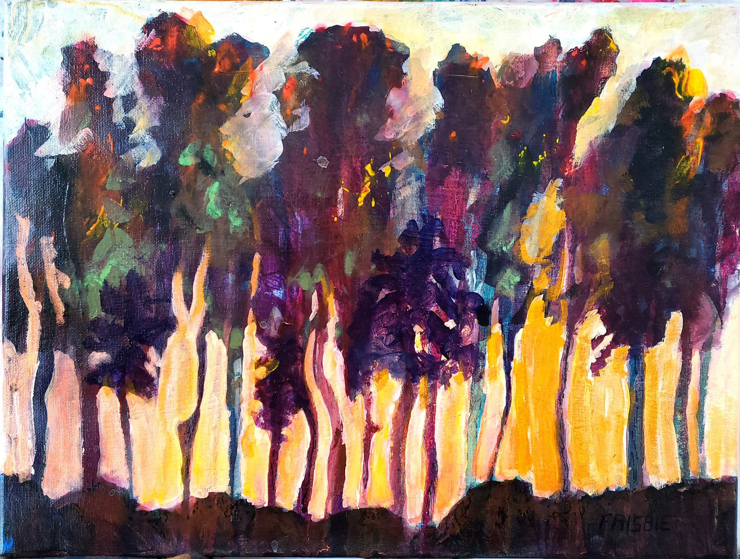 Fire in the Forest